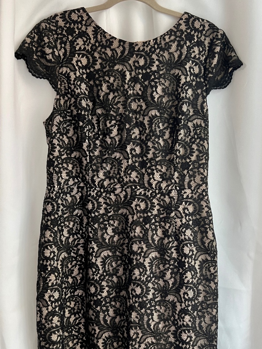 Talbots NWT Black Lace Overlay Dress Size 14 Cocktail Wedding Guest $229